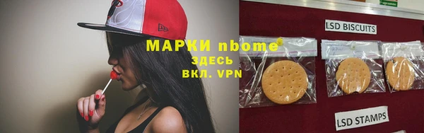 мдпв Абаза