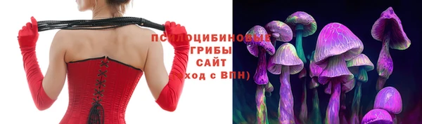 гидропоника Алзамай