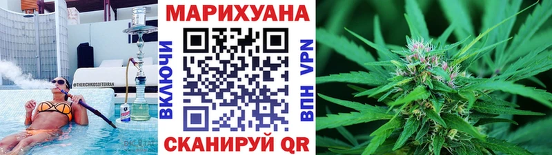 как найти   Питкяранта  Бошки марихуана индика 